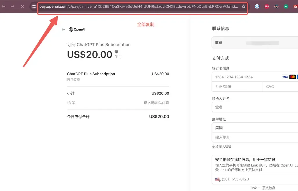 复制付款链接