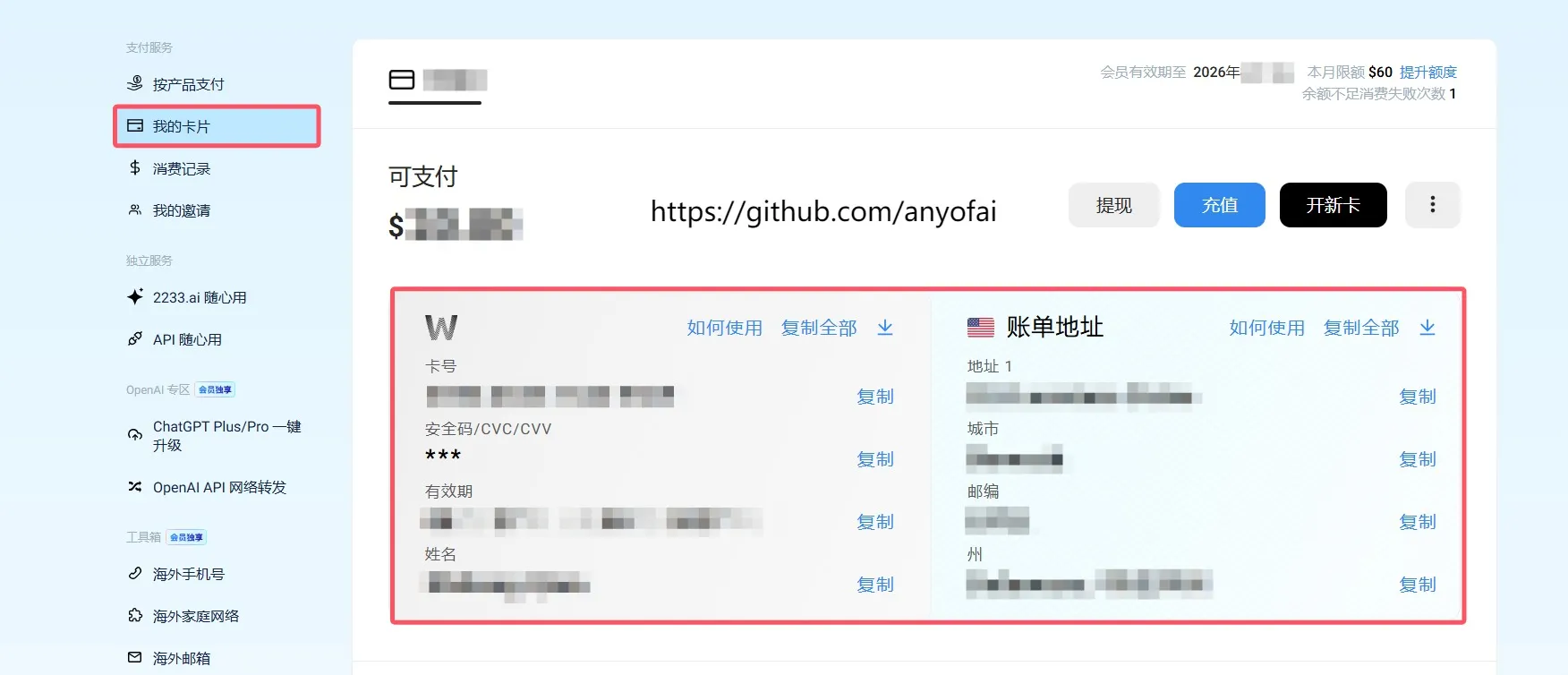 查看虚拟信用卡信息
