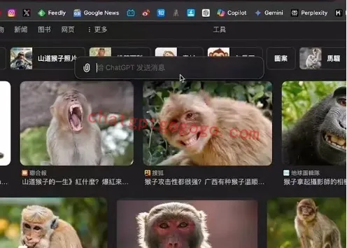 ChatGPT截图提问