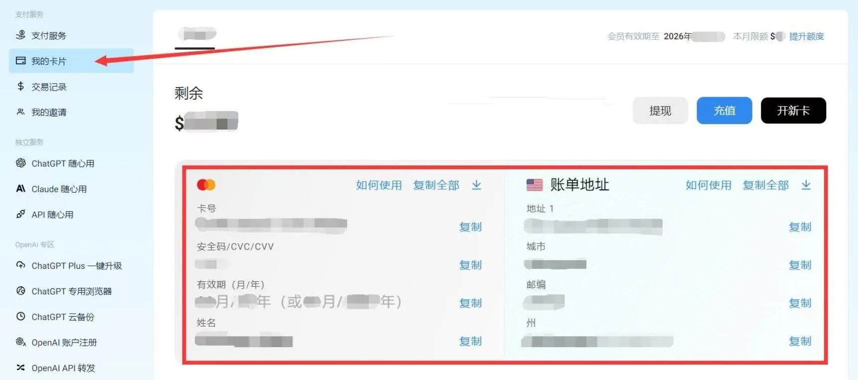 查看虚拟信用卡