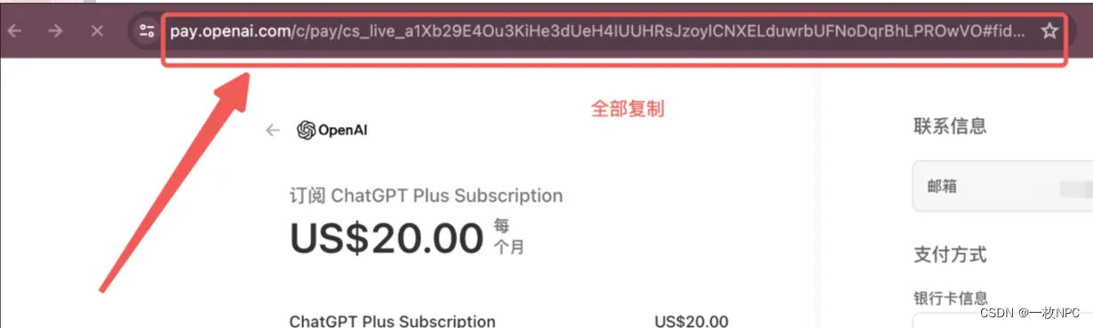 支付界面示例