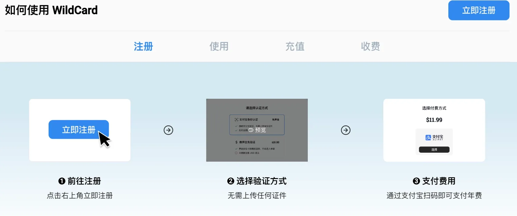 使用流程示意图