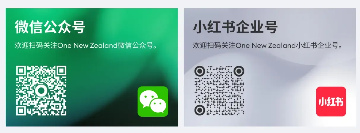 One NZ 微信公众号、小红书
