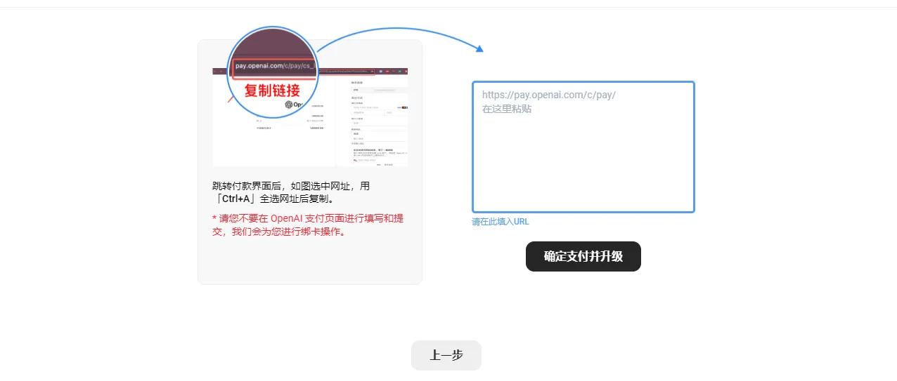 填入支付链接