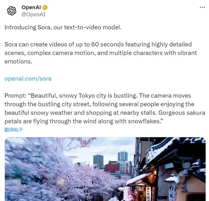 Sora生成效果
