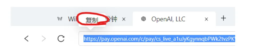 复制链接