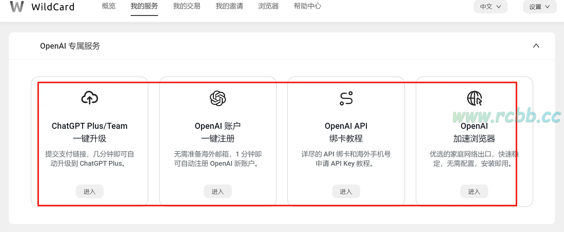 野卡 Open AI 的专属服务